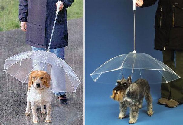 Transparent Dog Umbrella with Leash  (28" Diameter and Handle Length of 26")