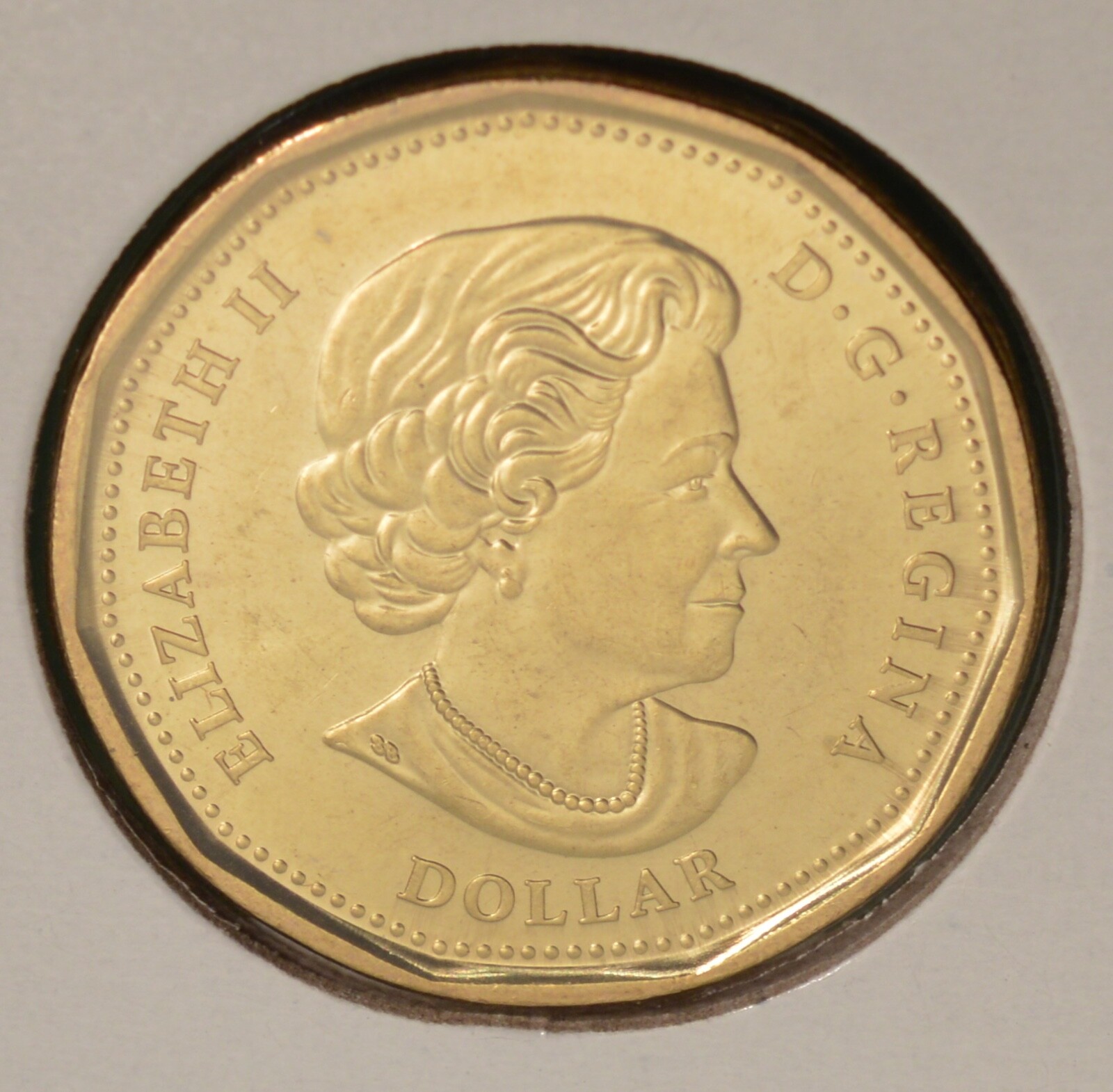 2020 Canada Loonie - U.N. - COLORED - BU UNC - from mint roll 🇨🇦🇨🇦