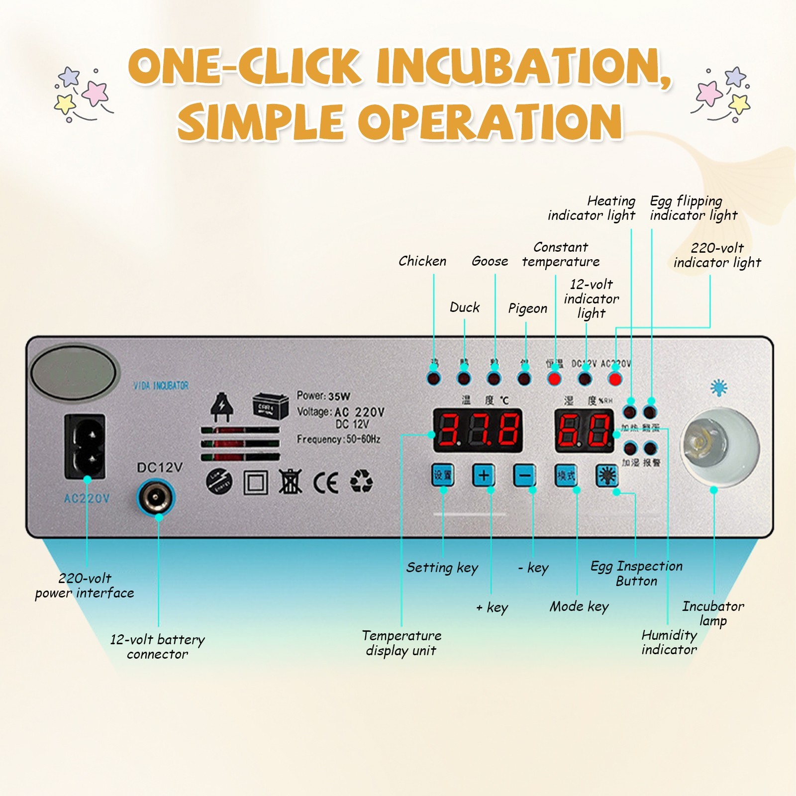 36 Eggs Incubator Digital Hatcher Temperature Control Fully Automatic Turning US