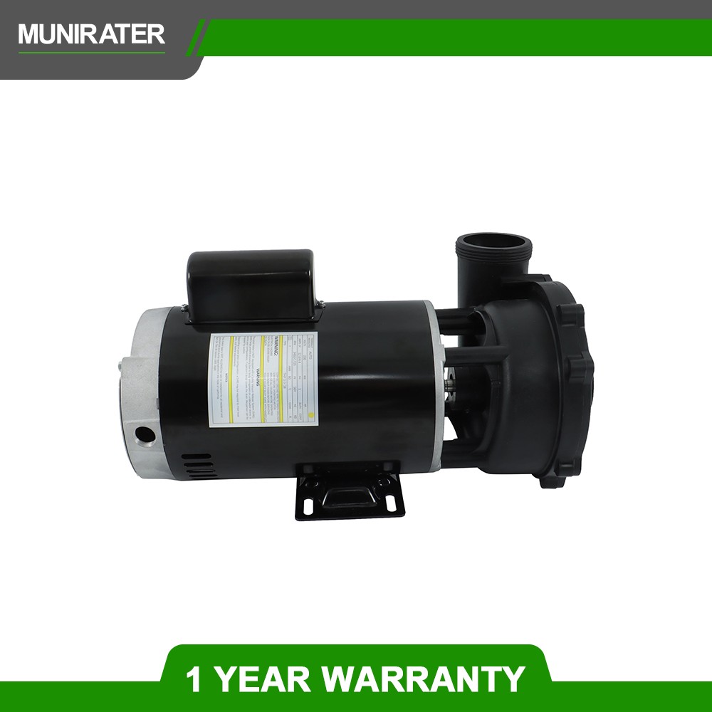 Waterway Plastics Executive 56 Frame 1-4 HP Spa Pump, 230-Volt Hot Tubs  2 Speed