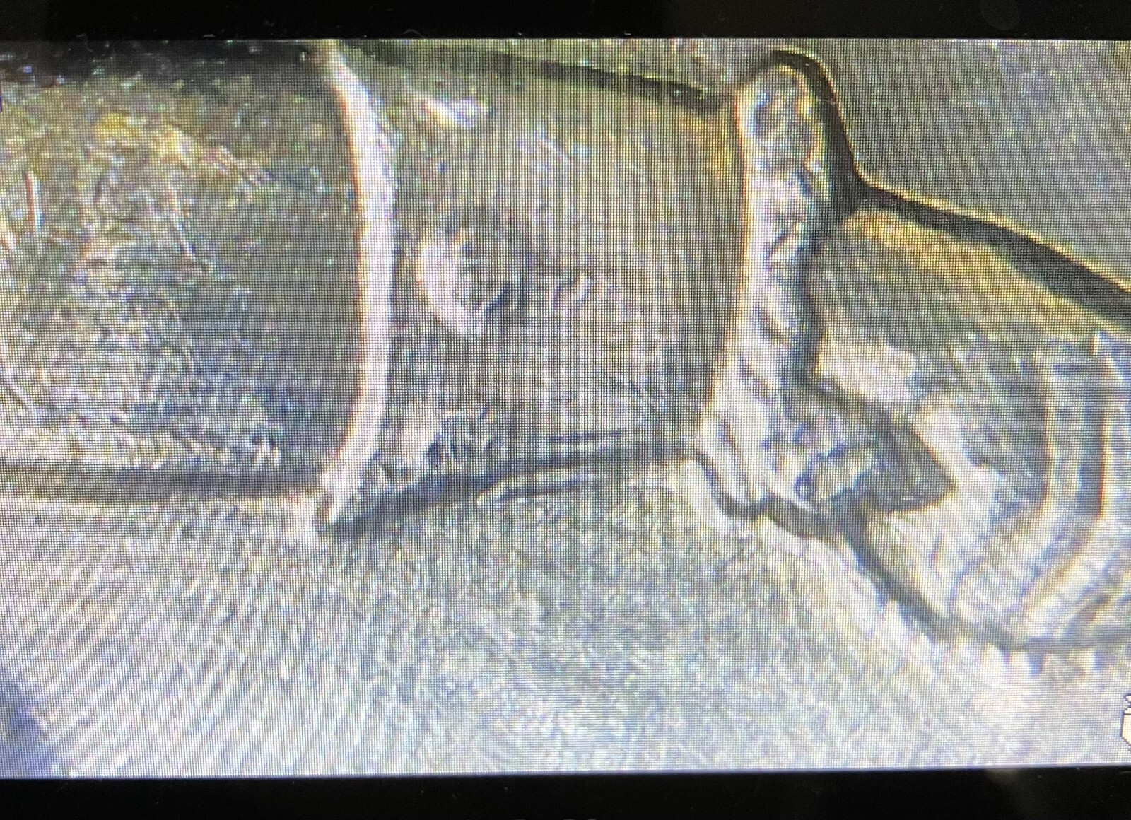 2021 P Crossing The Delaware Quarters Struck Through, DDR Errors