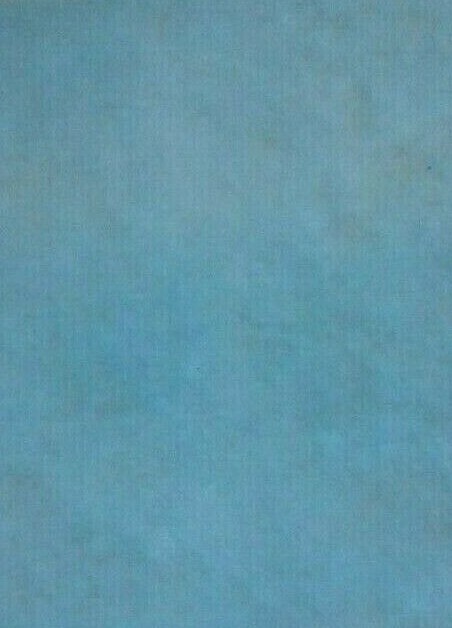 22421853 REPLACEMENT Ingersoll Rand SOFT FILTER PAD 18" x 12"