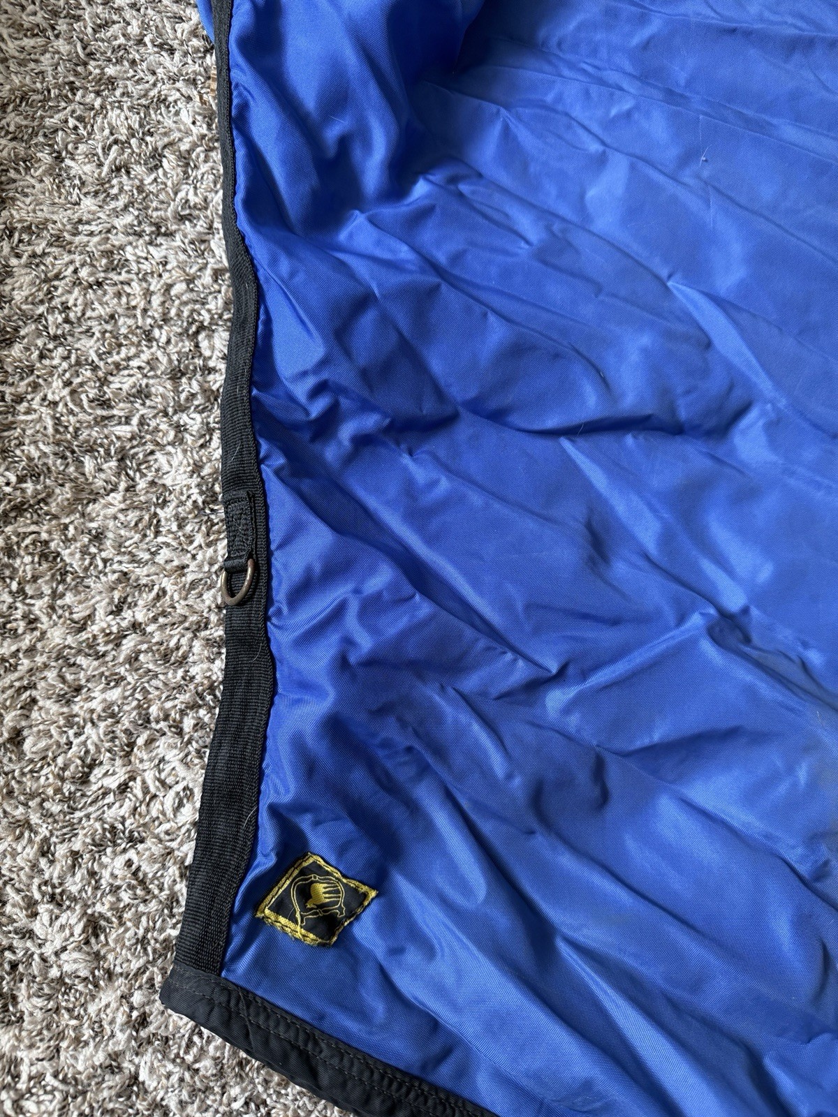 66” Big D Nylon Stable Sheet Blue