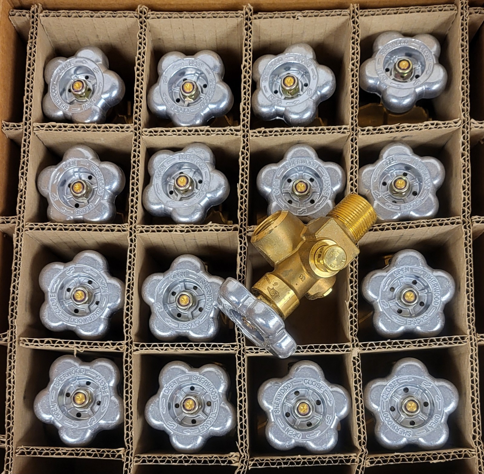 16 PACK Sherwood GSRPV580R6132 CGA580 RPV Valve 3/4NGT Residual Pressure Valves