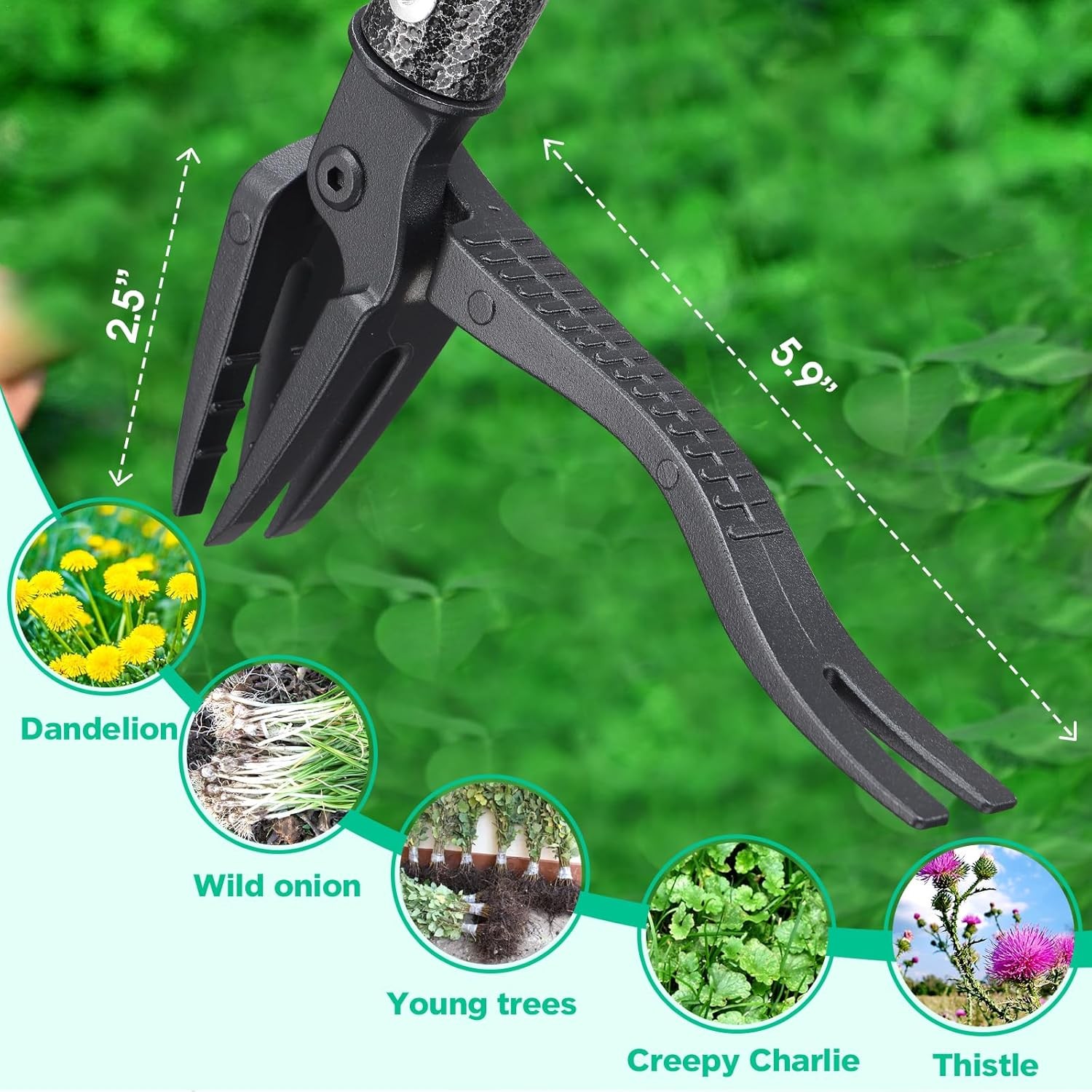Weed Puller with Long Handle- 63inch - Adjustable Stand Up Tool,...