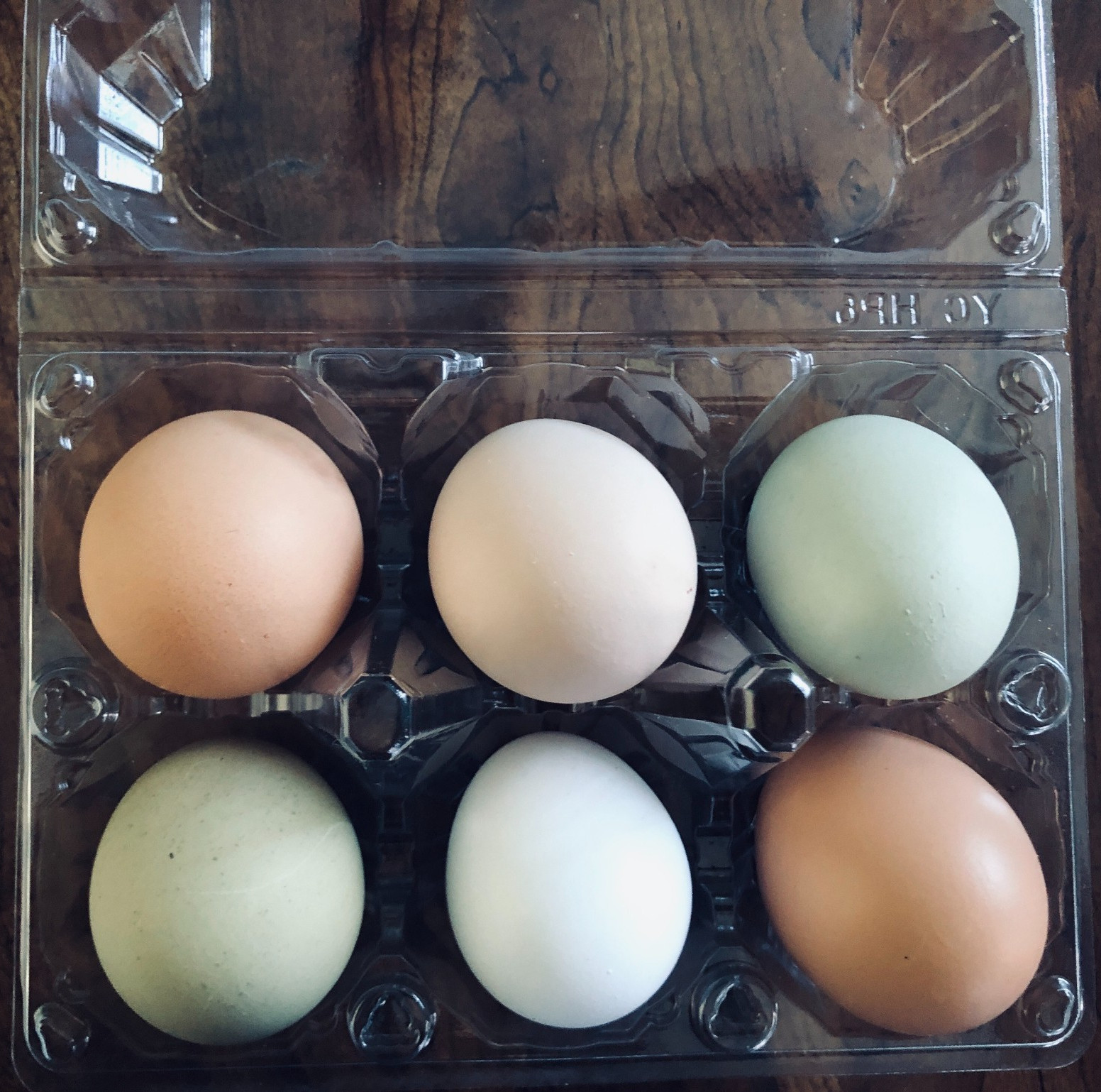 5+ Fertile Chicken Hatching Eggs Barnyard Mix/Crested/Easter/Rare Breed Possible