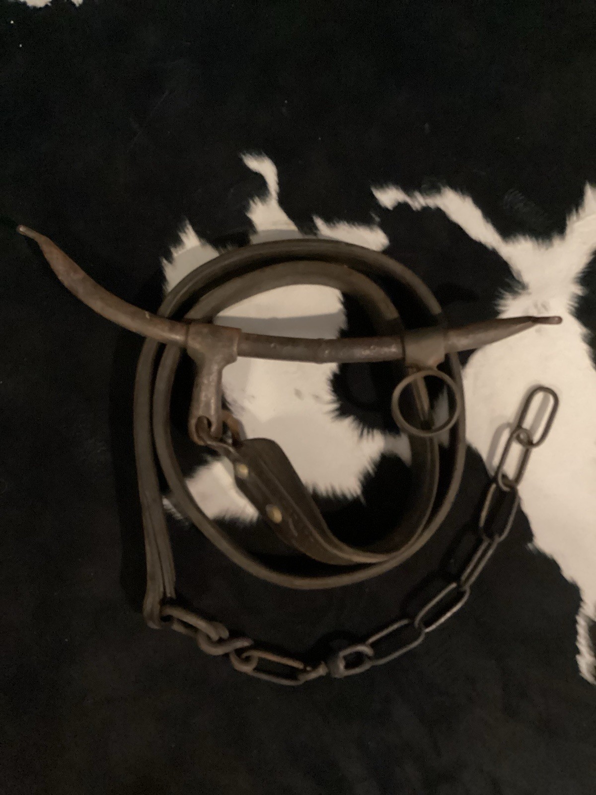 Horse Leather Bridal, Bit and Reins Set (WCP029569)