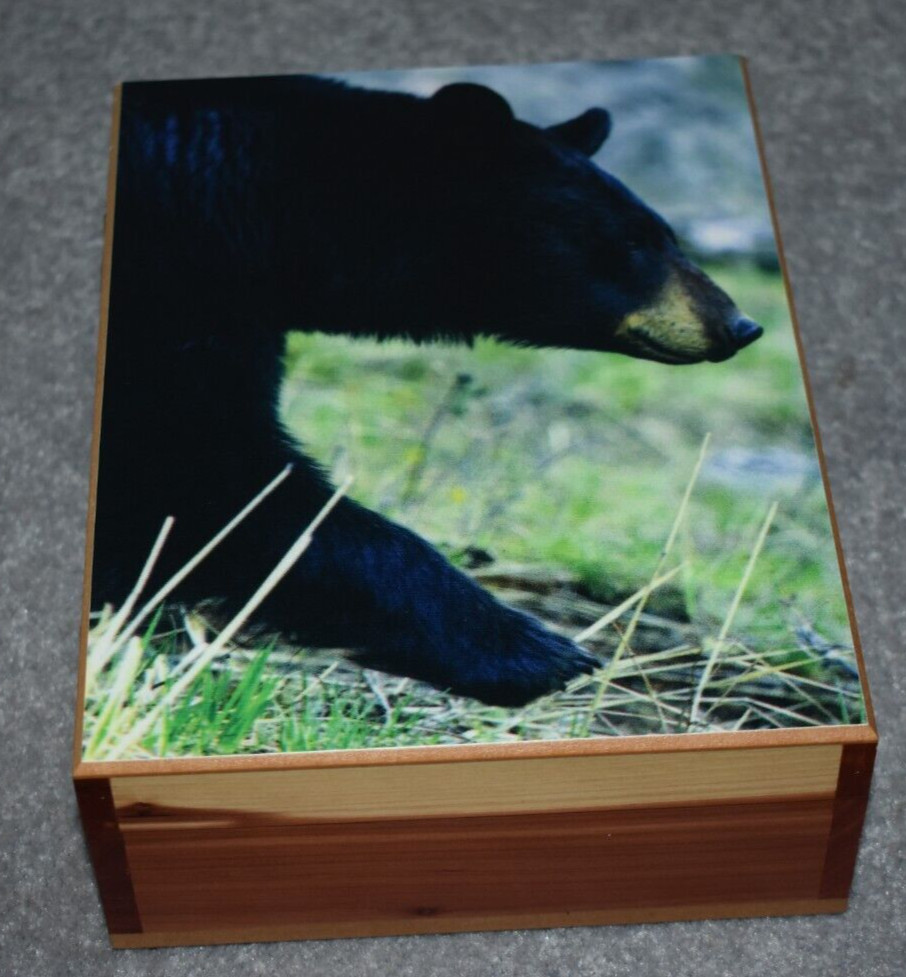 #4647 BLACK BEAR KEEPSAKE JEWELRY HOME DECOR WOOD CEDAR BOX 6"X8"