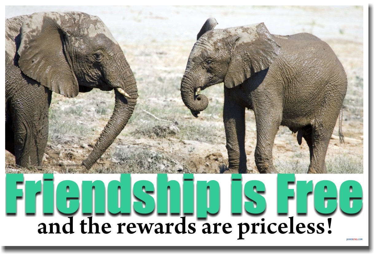 NEW SCHOOL MOTIVATIONAL POSTER - Friendship is Free & the Rewards are Priceless