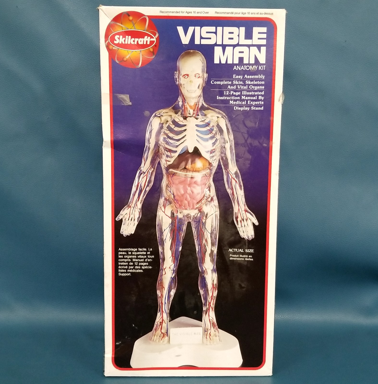 VTG 1994 Skilcraft Visible Man Model Kit 74622 Open Box Unassembled