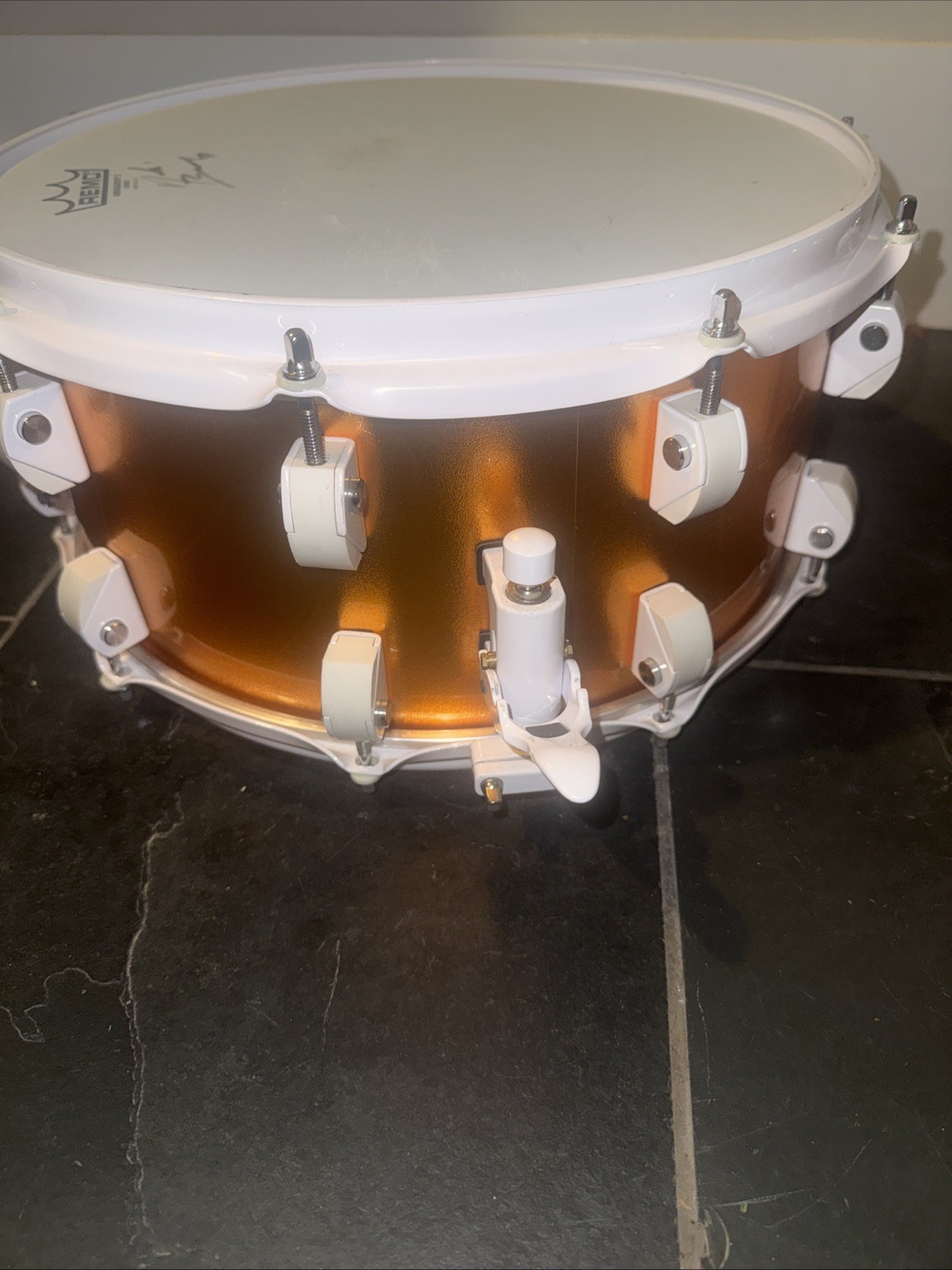 Remo Crush Drum Chameleon series drum Individual