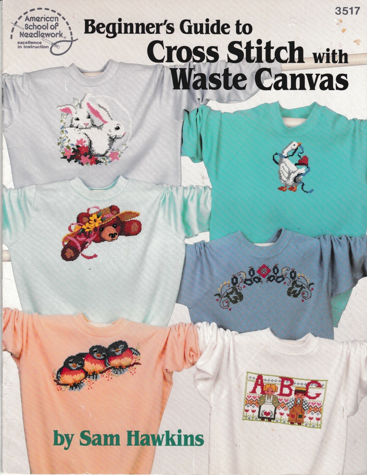 Beginner's Guide Cross Stitch w/Waste Canvas | American School Needlework 3517