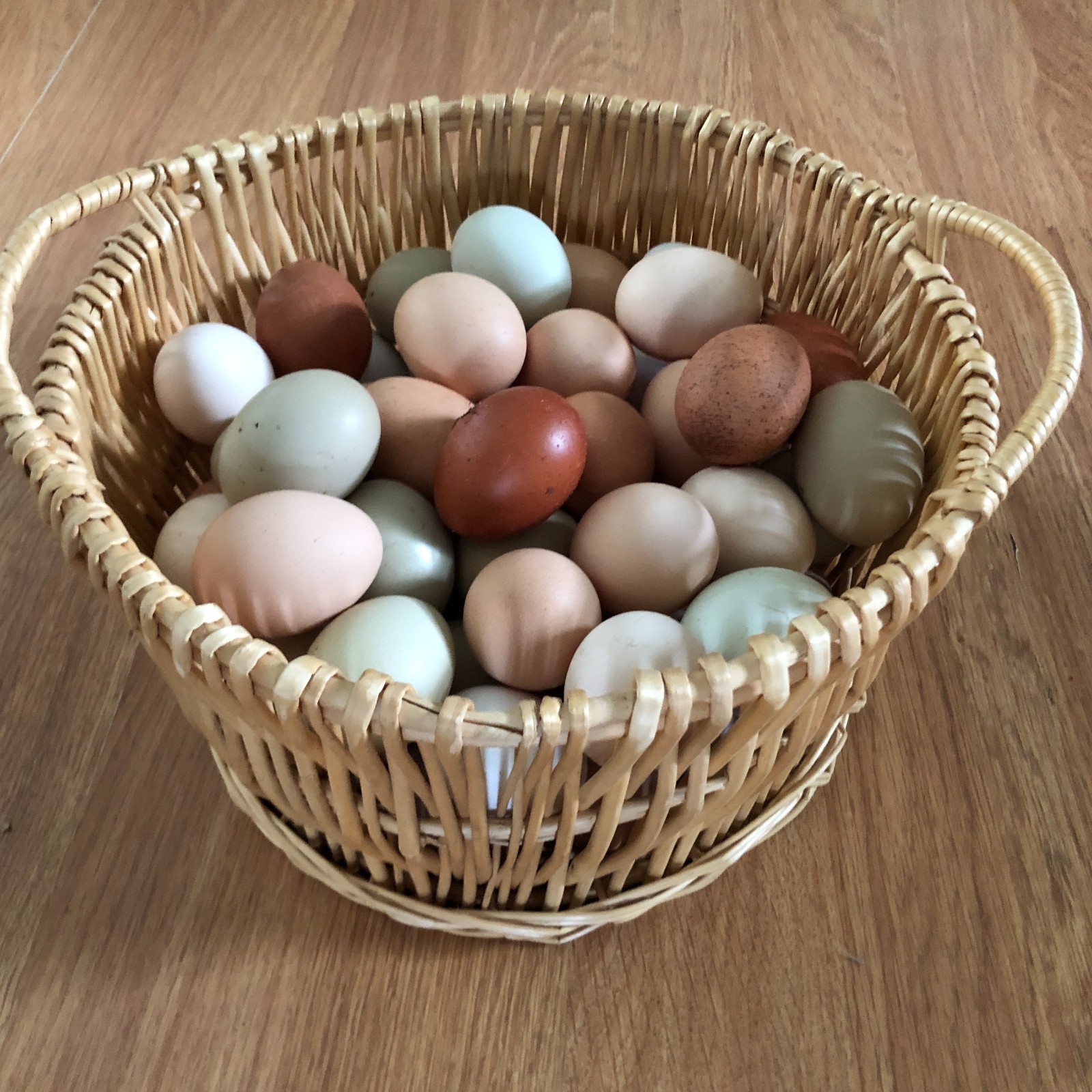 11+ Fertile Chicken Hatching Eggs BarnyardMix/Crested/Easter/Rare Breed Possible