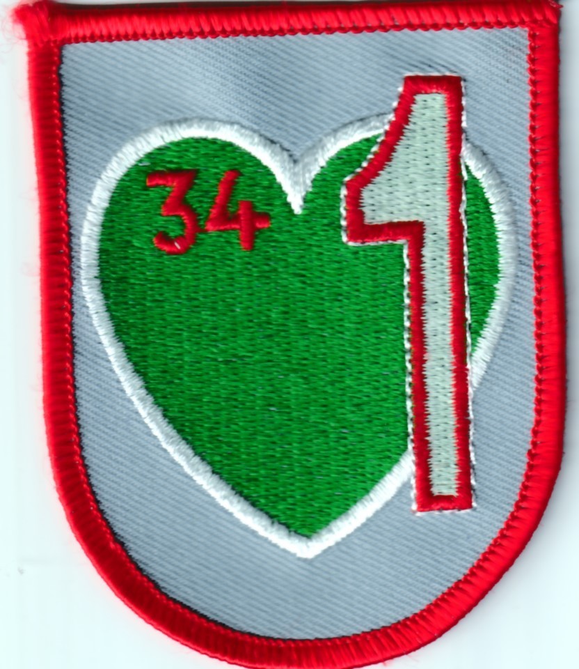 German air force Luftwaffe 34th Bomb wing  1st Sqn Memingen AB patch