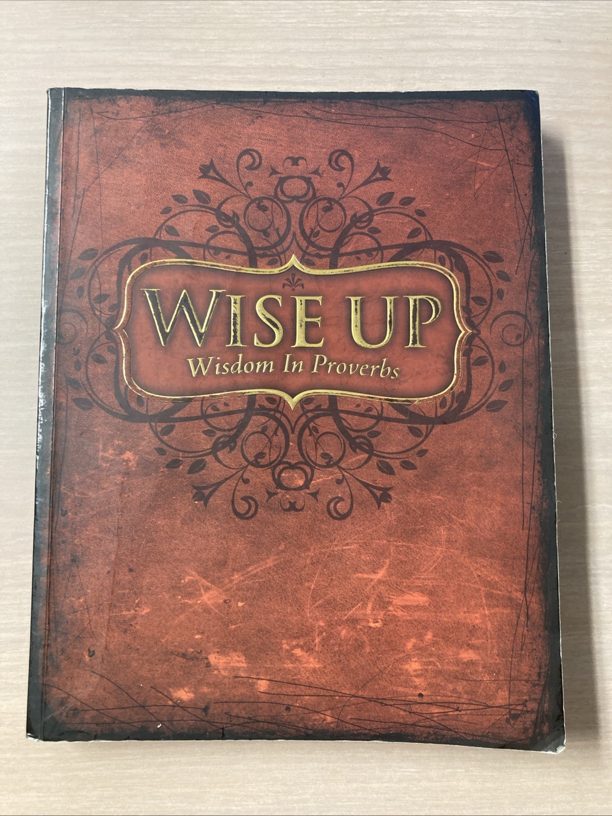 Wise Up Wisdom In Proverbs by Cherie Noel. Positive Action. Bible Devotional.