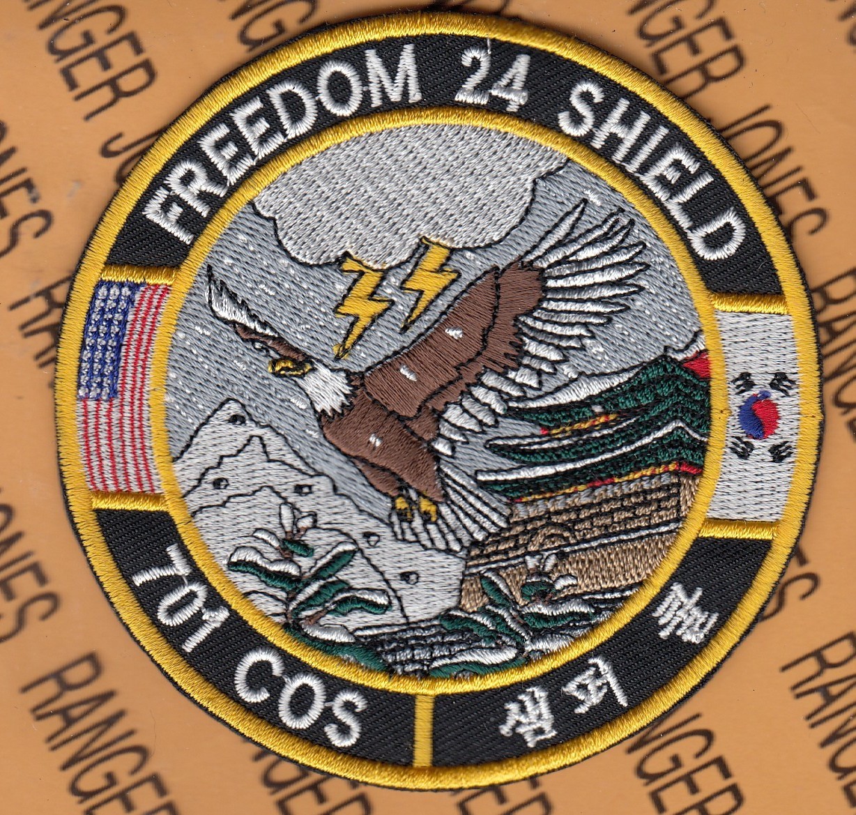 USAF Air Force 701st Combat Operations Sq COS Freedom Shield ~3.75" patch c/e
