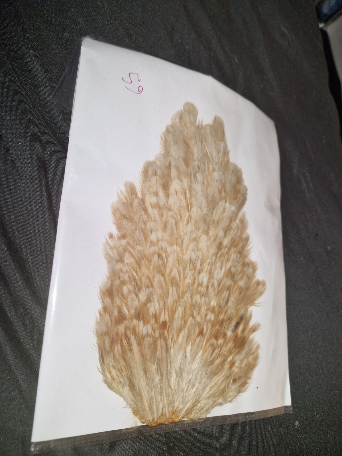 Large Saddle Hen Hackles Fly Tying Materials Feathers