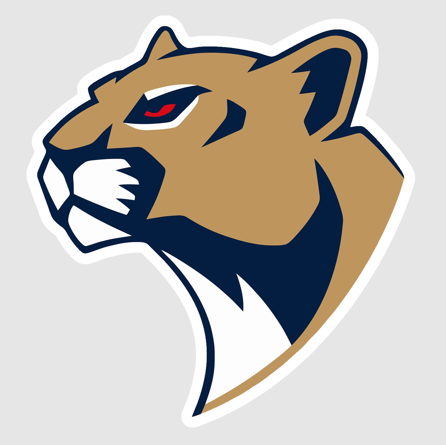 Florida Panthers Vinyl Sticker Decal 04