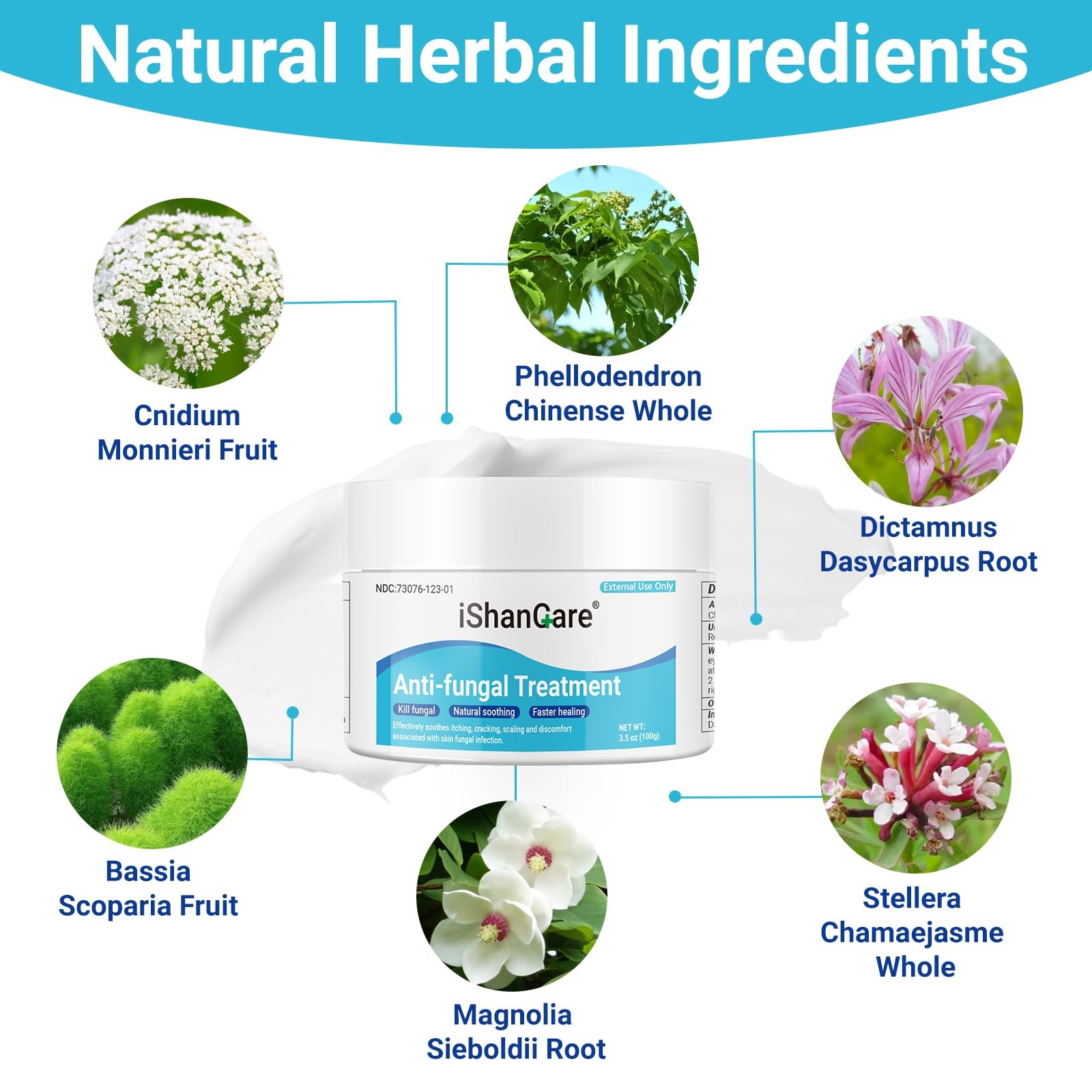 ishancare Antifungal Cream, All Natural Herbal Anti 3.53 Ounce(100g), White