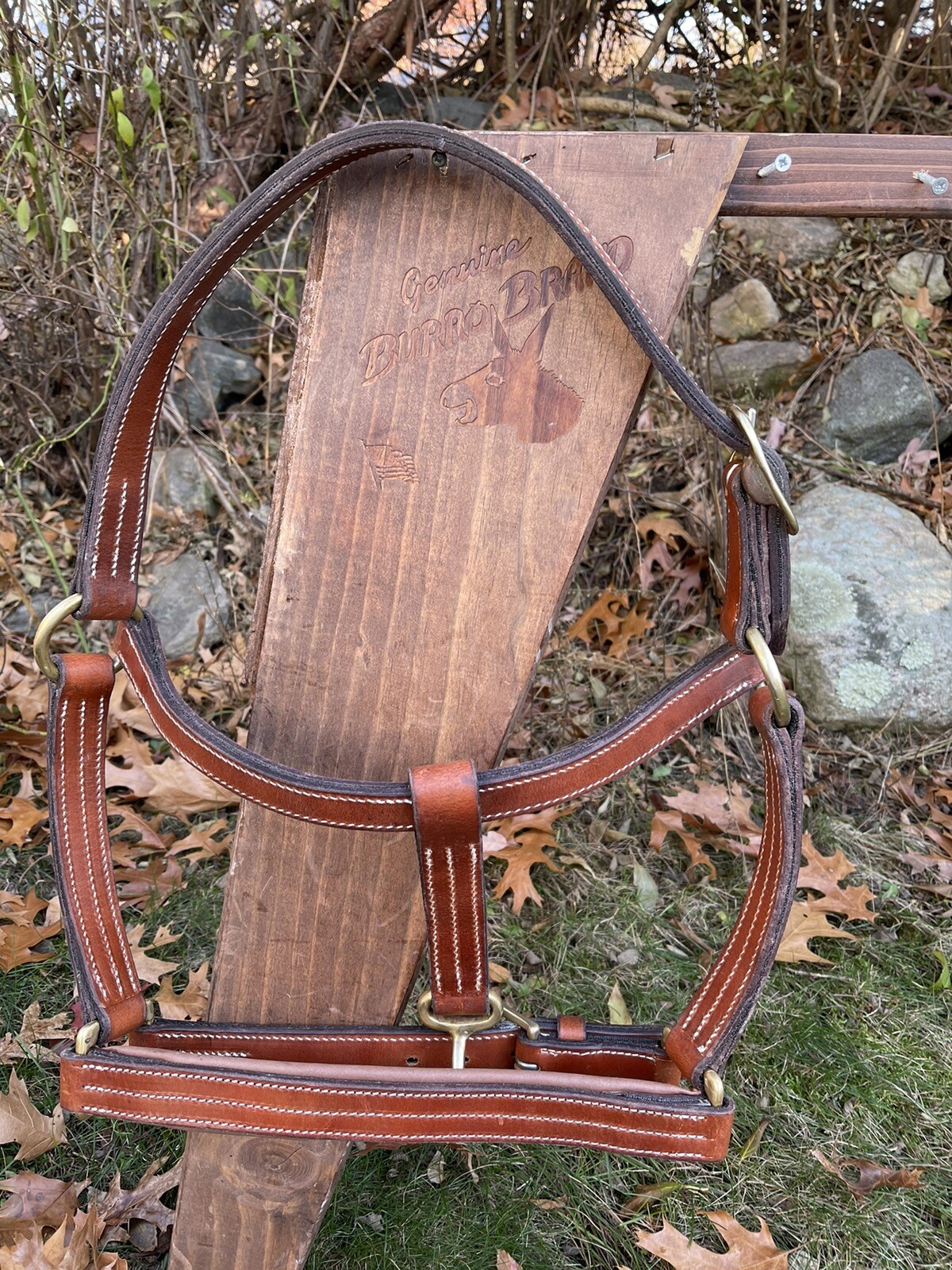 Leaders Worldwide Draft Leather Halter!