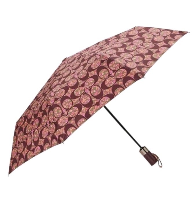 Coach FULL-SIZE Auto Open/ Collapse Umbrella POSEY CLUSTER SILVER BRIGHT MULTI