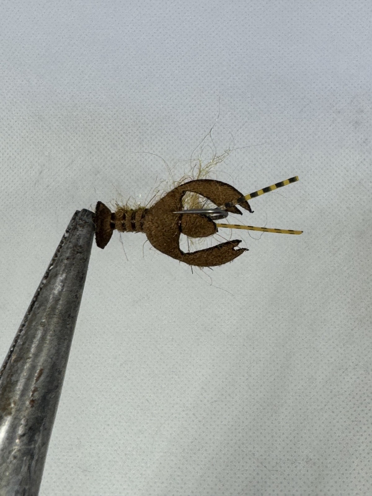 Crayfish Size 8 Hook