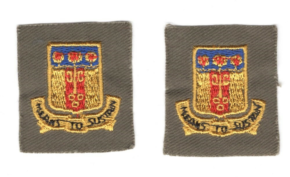 Army Cloth DI: 35th Supply and Service Battalion, pair - fatigue cloth