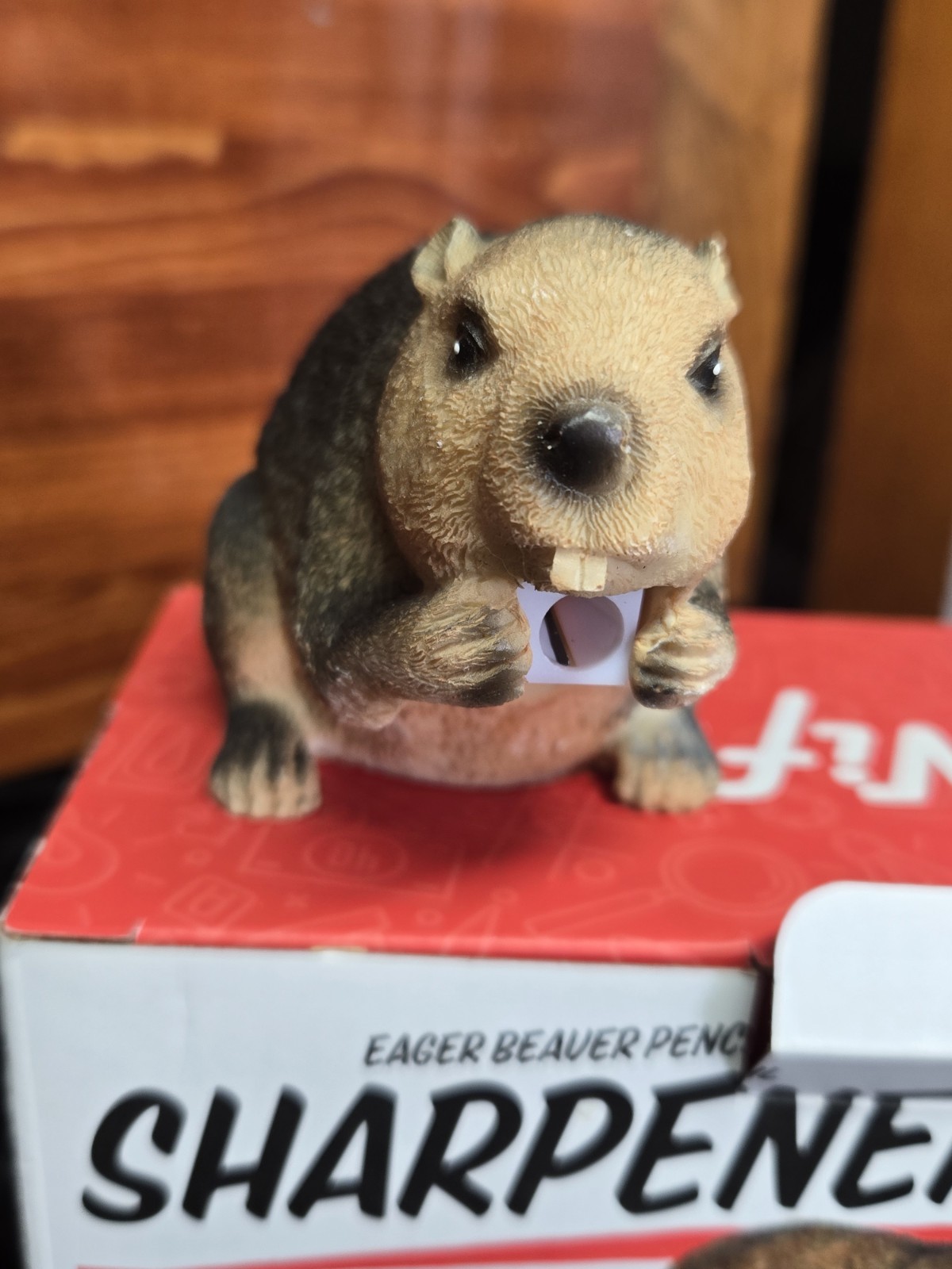 Eager Beaver Pencil Sharpener Twist To Sharper Nifty Novelty Free Shipping