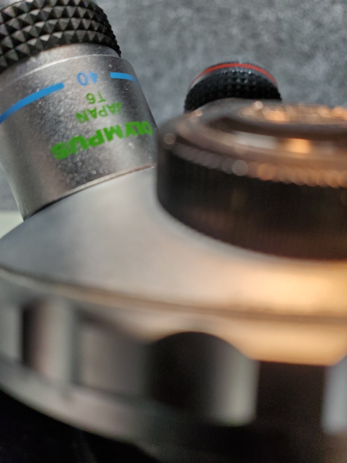 Olympus CK30 Inverted Microscope w/ 3 objectives, CK40-SLP Phase Contrast slider