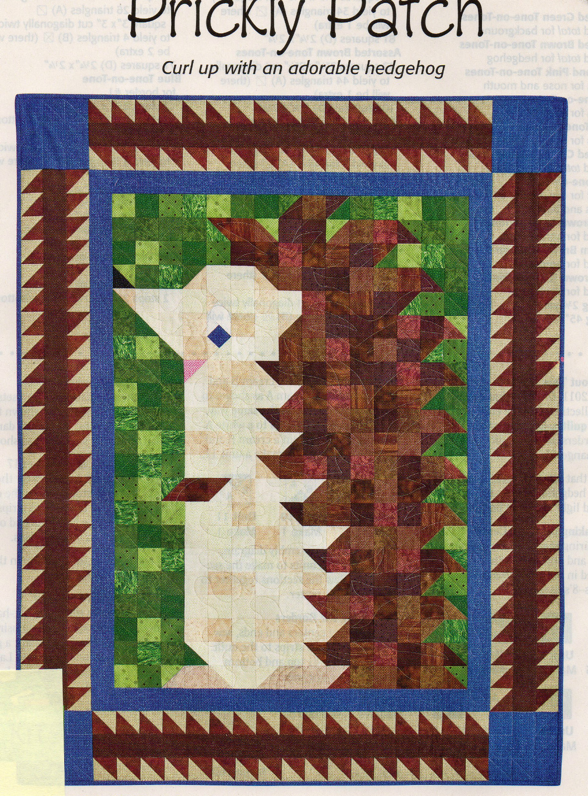 Prickly Patch Quilt Pattern Pieced DS