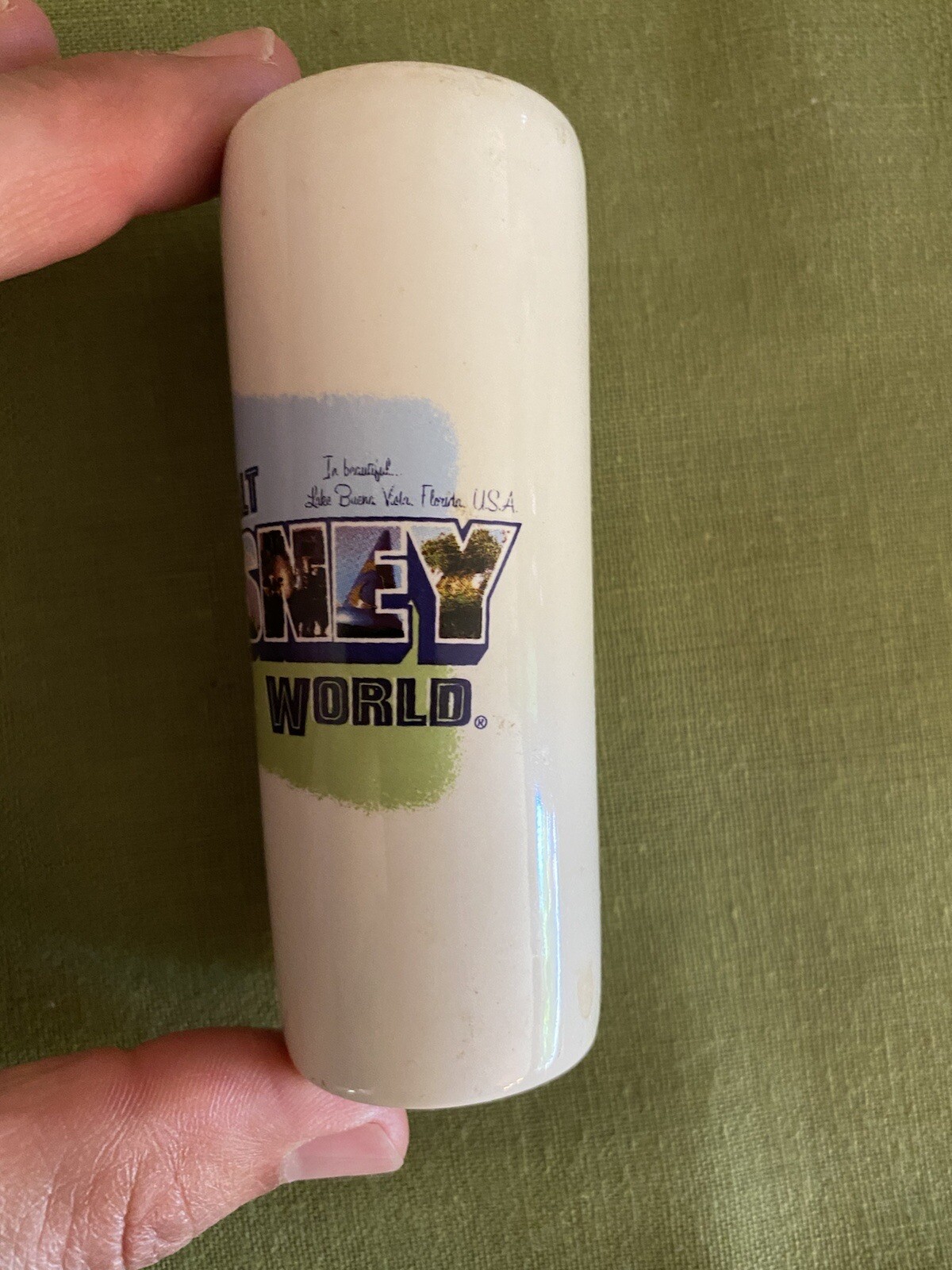 Walt Disney World Vintage Shot Glass Post Card Image Silver Phoenix