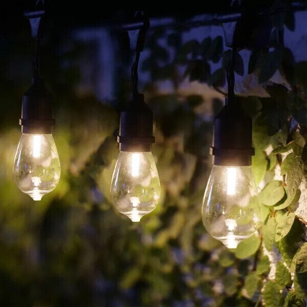 10ct Integrated LED Edison Bulb String Lights with Timer - Black Wire - Alpine