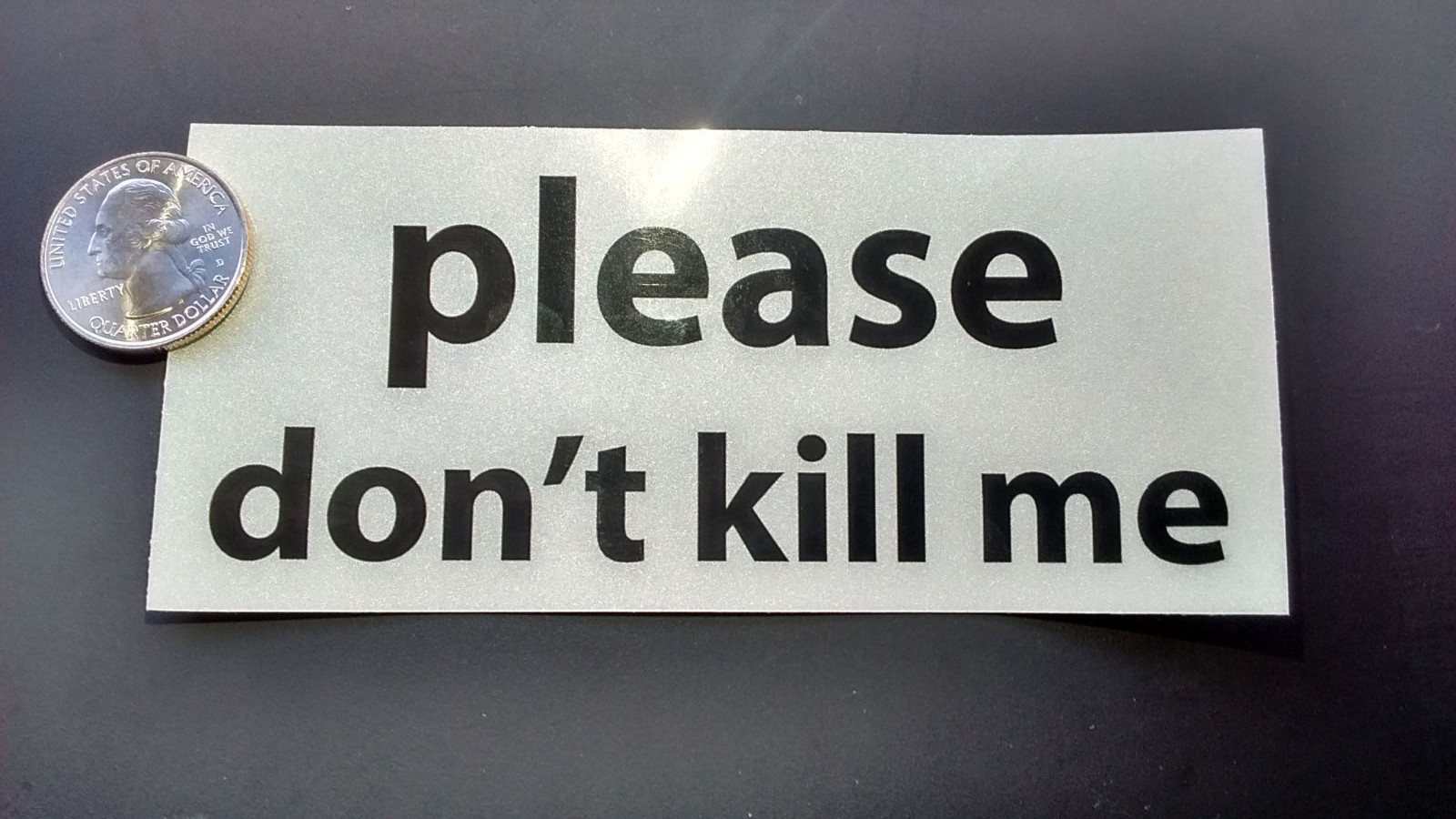 "Please Don't Kill Me" - Two(2) Reflective Stickers - 5"x2.25"