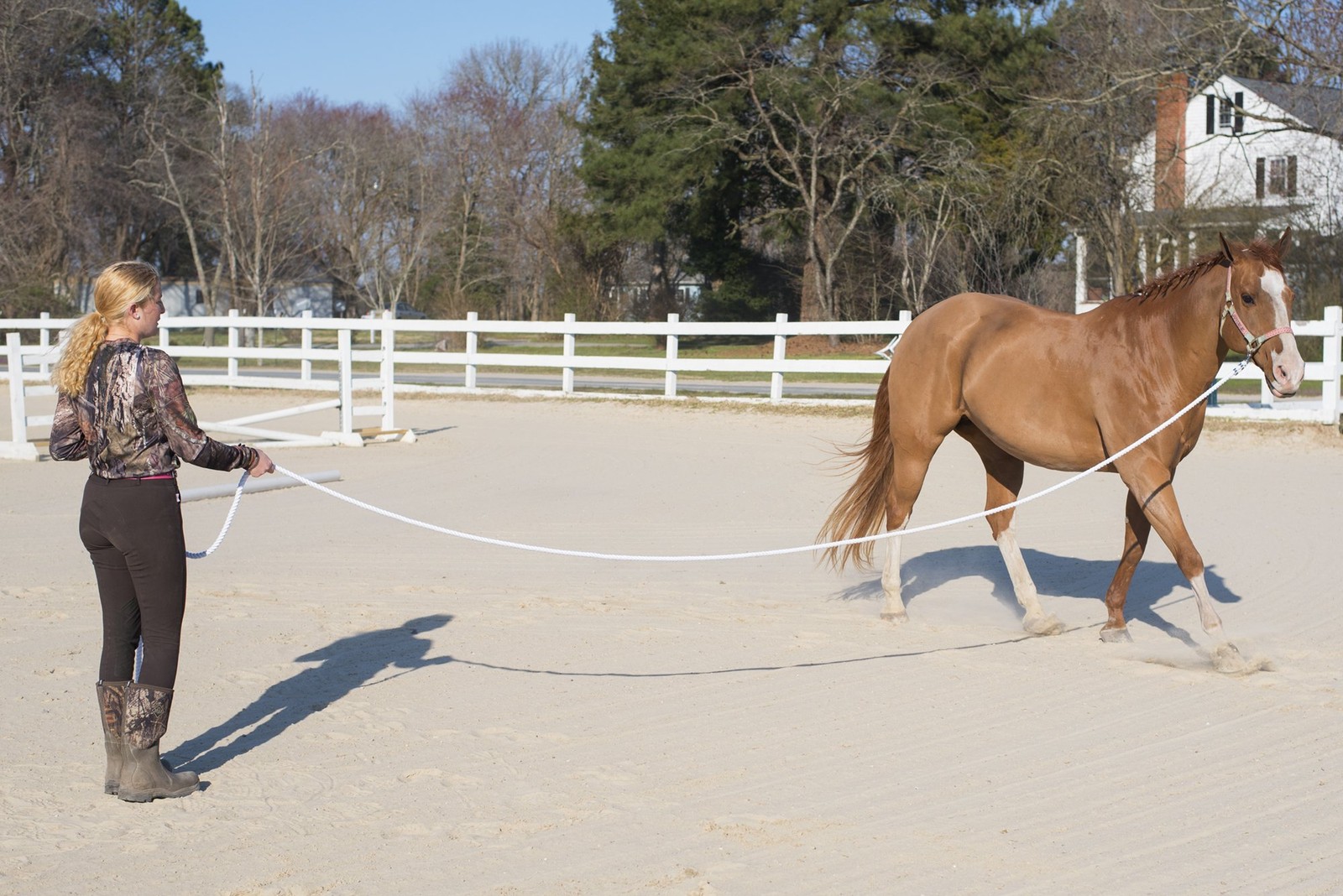 Lunge Line Rope