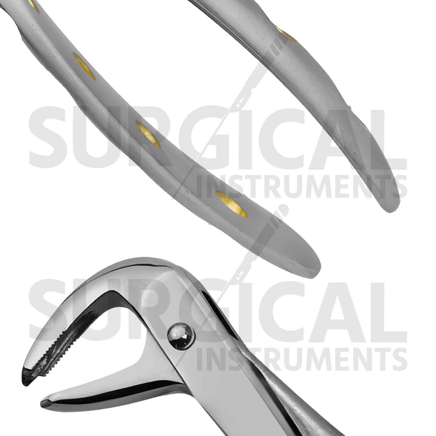 Heavy Duty Extraction Forceps #F4 Gold Hollow Python Grip Handle German Grade
