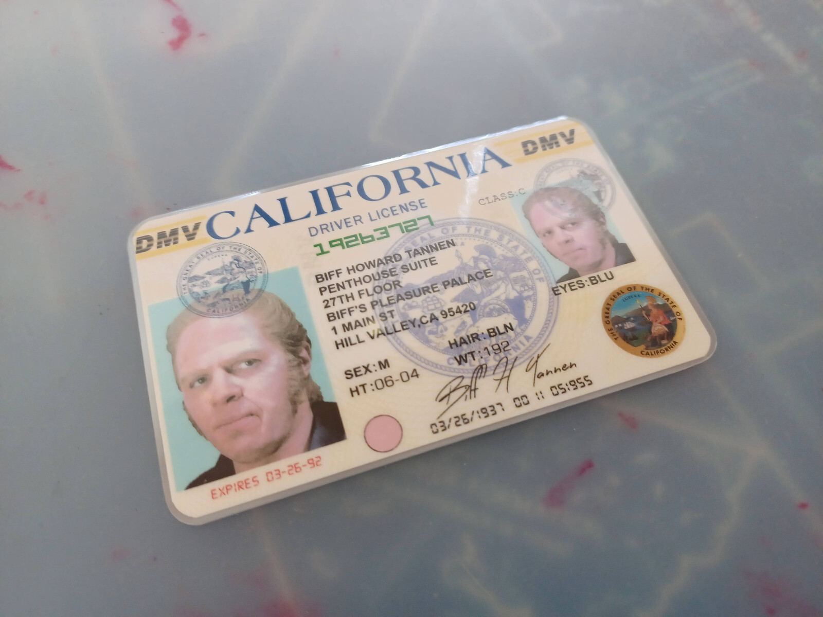 Back to the Future  Biff Tannen License  Prop Cosplay Novelty