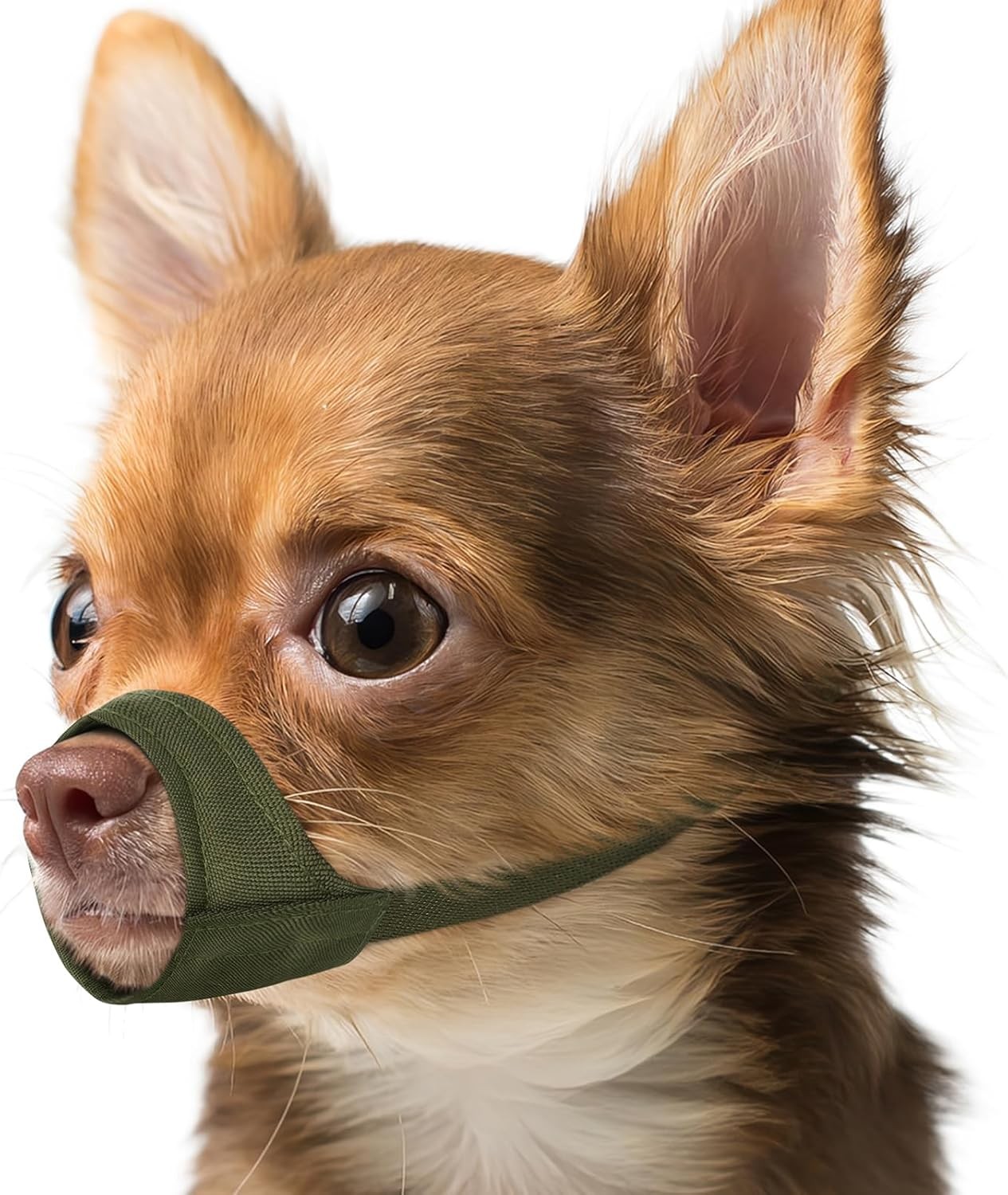 Short Snout Dog Muzzle Small Muzzle Chihuahua Shih Tzu American Bully Boxer