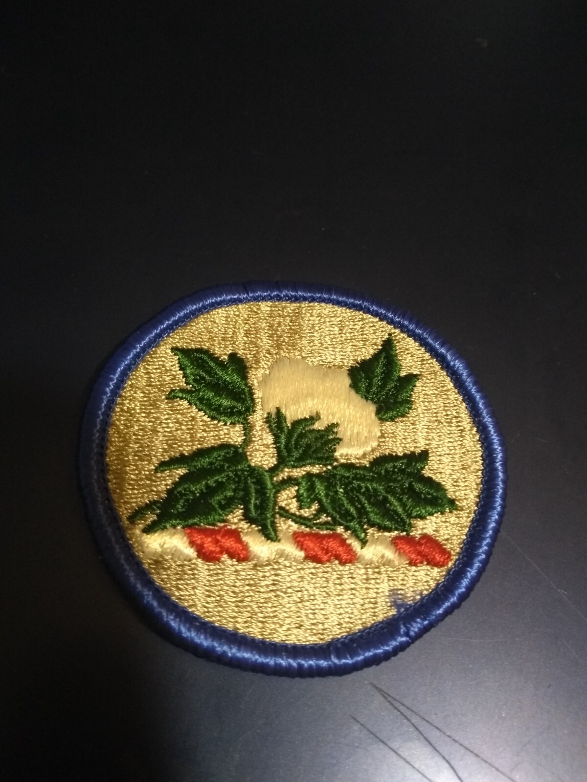 U.S Army Alabama National Guard SSI- Full Color patch (23-1046)