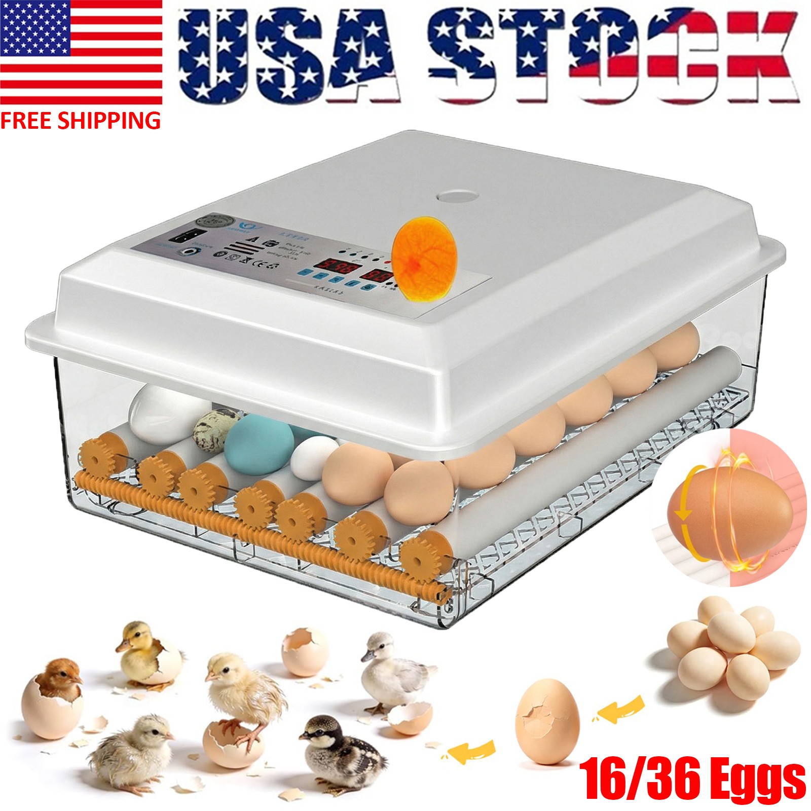 Egg Incubator for Hatching 16/36 Eggs Automatic Egg Turning Temperature Control