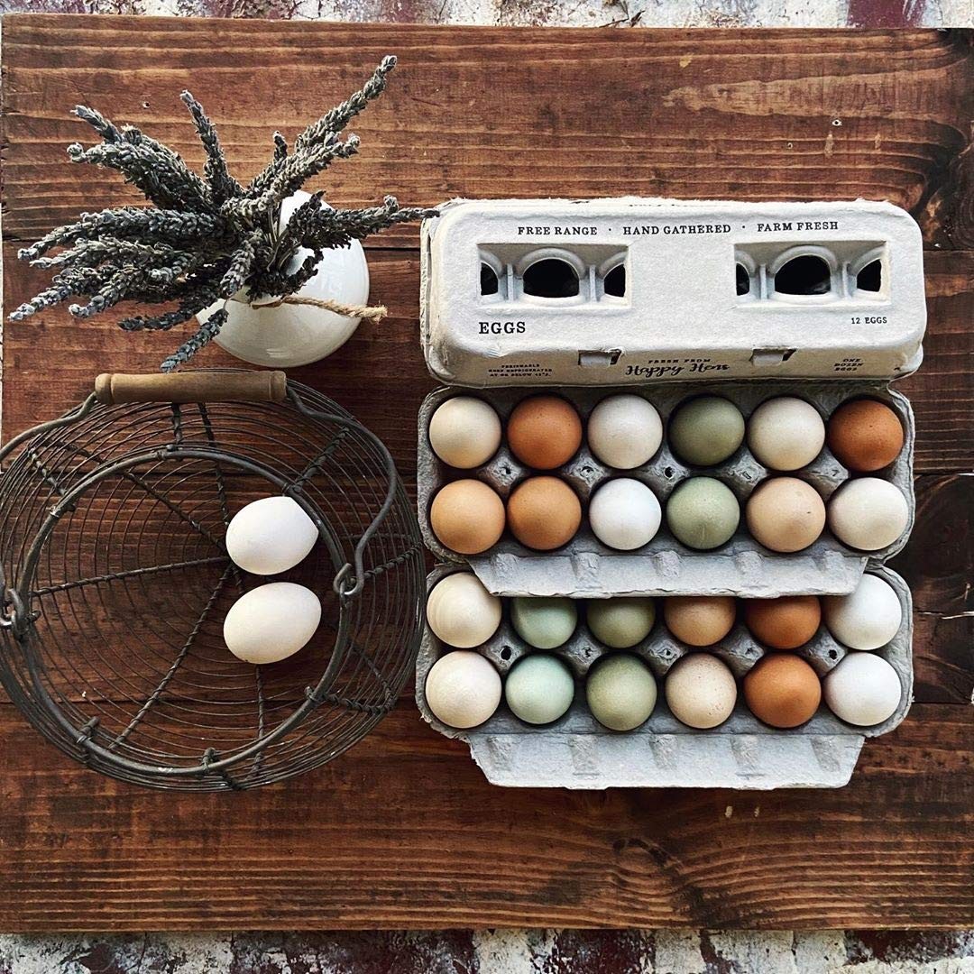 25 PCS Blank Stamping Printed Farm Fresh Recycled Paper Cardboard Egg Cartons