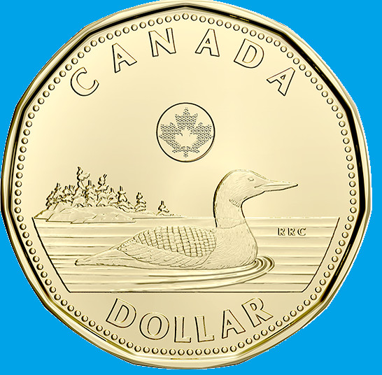 2022 Canada Loonie One Dollar Coin. Mint UNC Canadian $1 Loon.