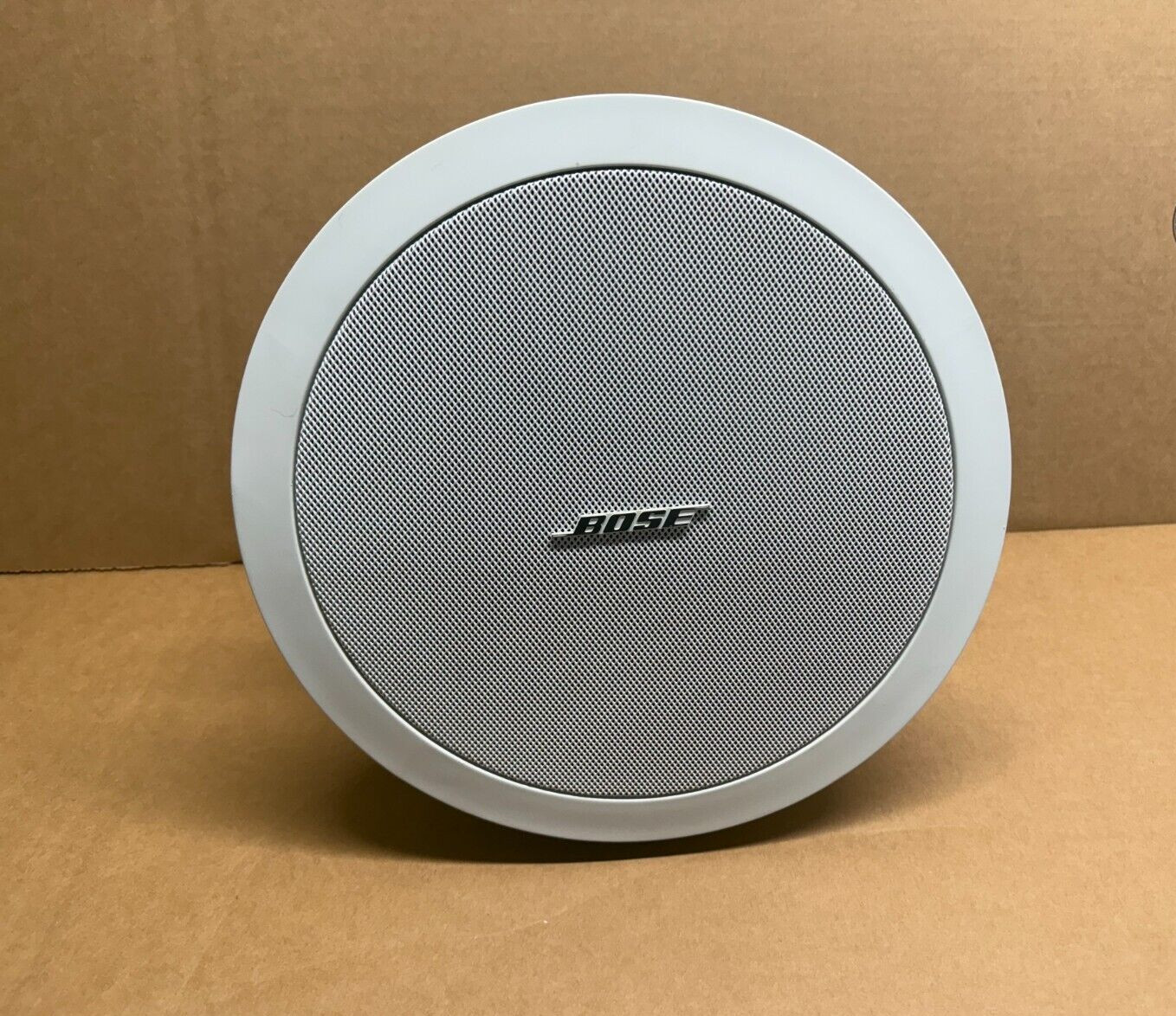 Bose FreeSpace DS 100F Loudspeaker - White