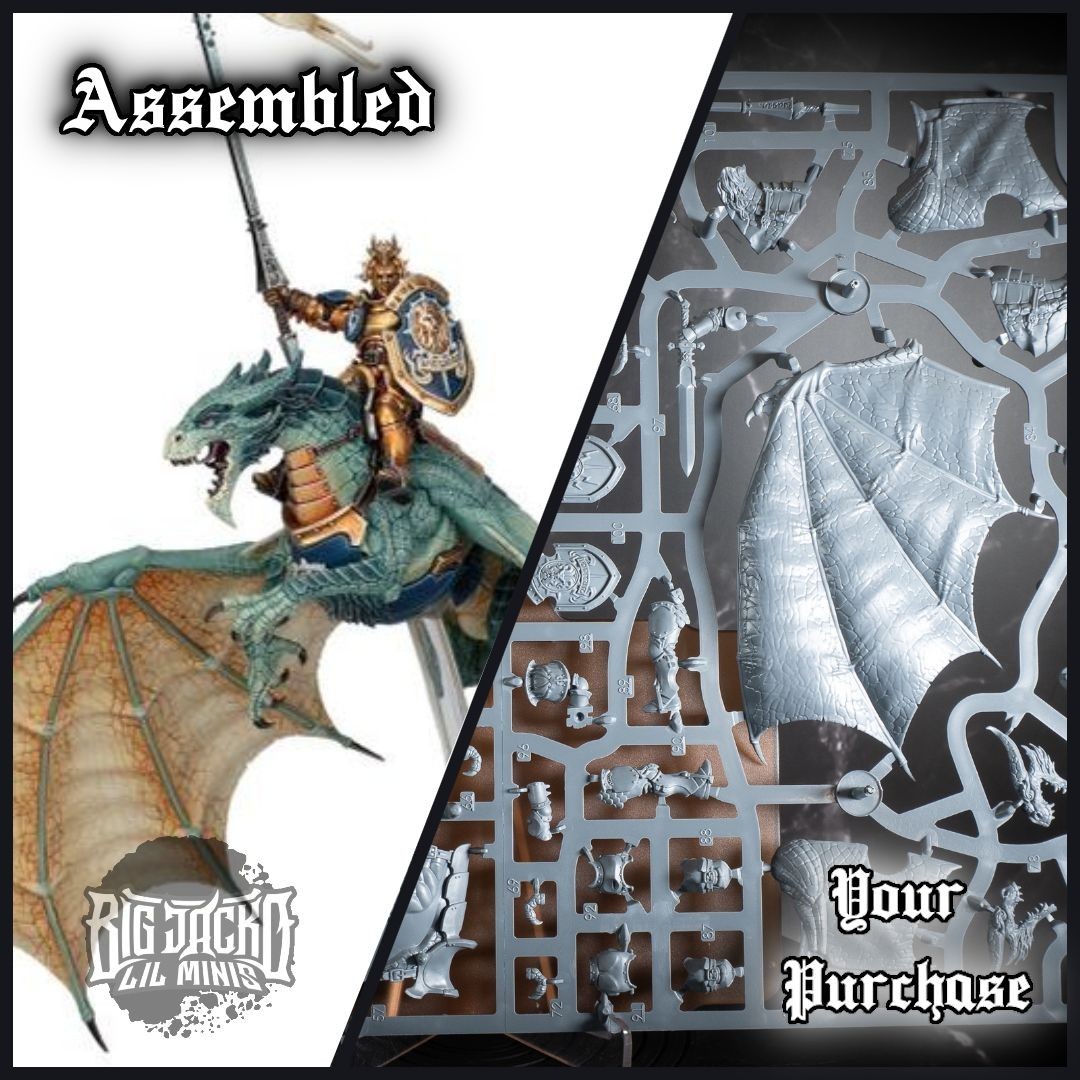 Stormdrake Guard x2 Age of Sigmar Stormcast Eternals NOS (No Flight Stands!)