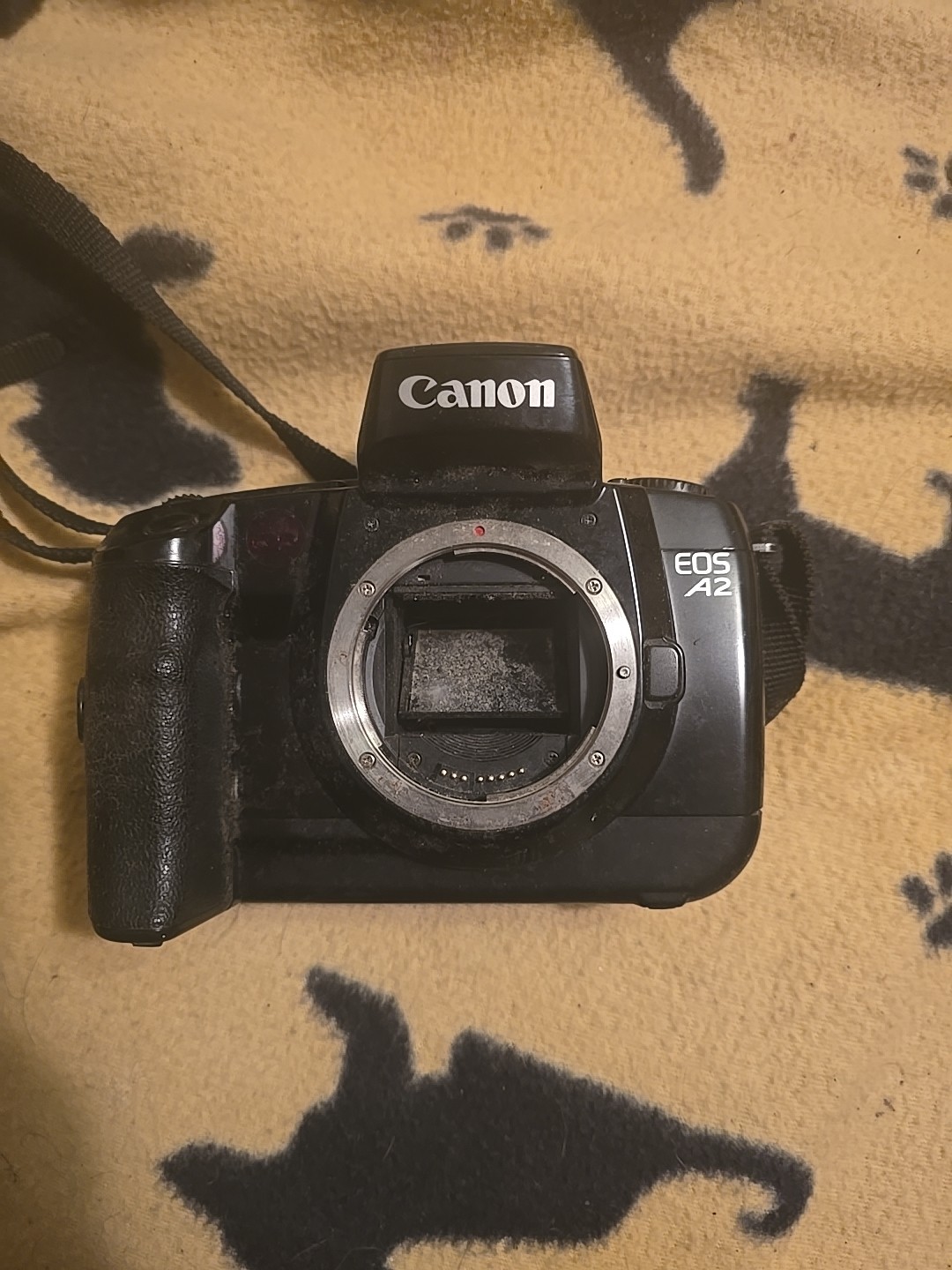 【PARTS】CANON EOS 5 A2 A2E 35mm SLR + EF 28-80mm f/3.5-5.6 Ⅱ Made In JAPAN