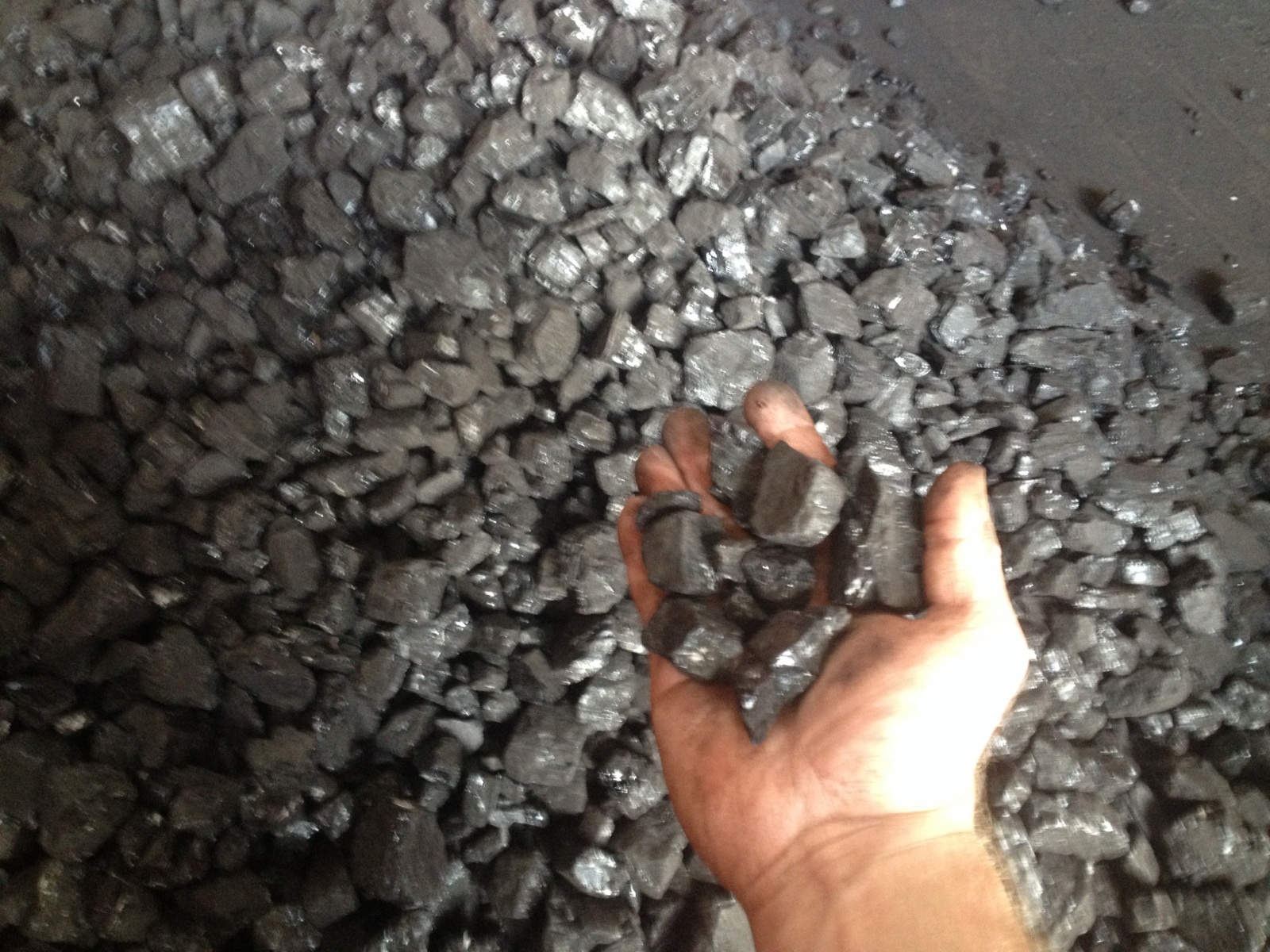 Forge Coal 25lbs