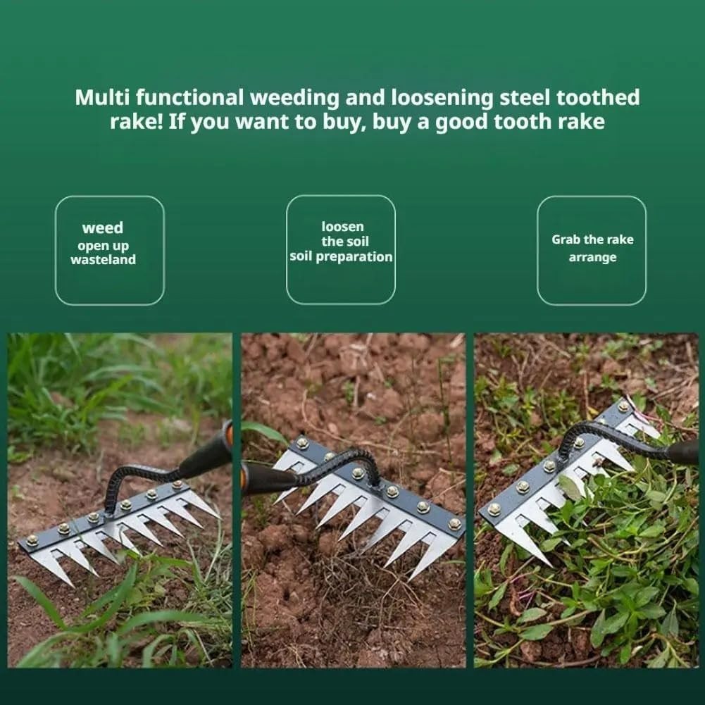 Gardenia Iron Weeding Rake, 2026 rake, 8 Teeth, 8 Teeth