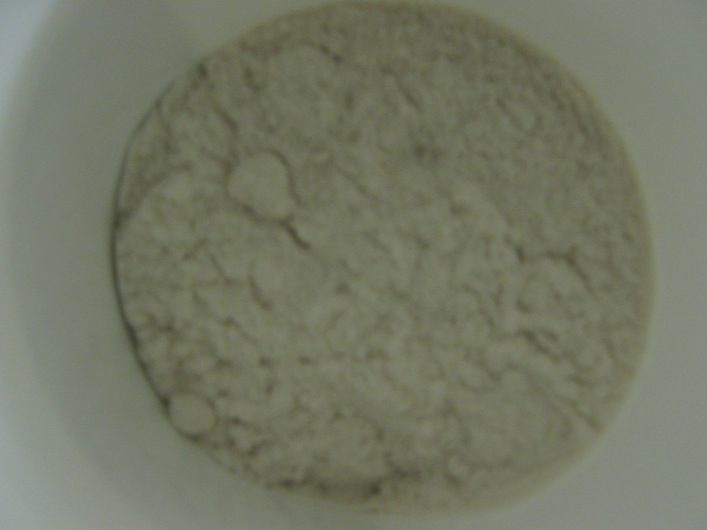 Metol - 1 Pound