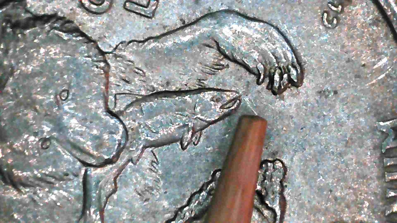 2008-P Alaska State Quarter Claw Die Chip Error MULTIPLE ERRORS Drool Error
