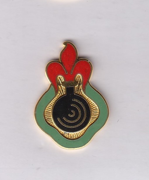 US ARMY 269th Ordnance Battalion crest DUI badge G-23