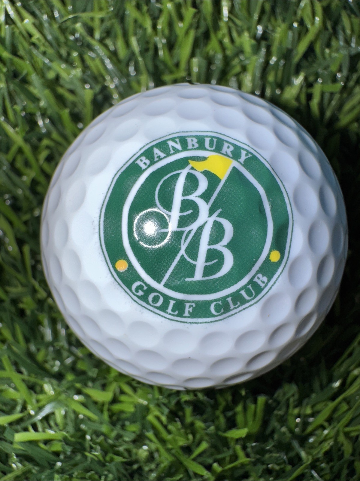 Banbury Golf Course Club logo golf ball - Eagle, Idaho